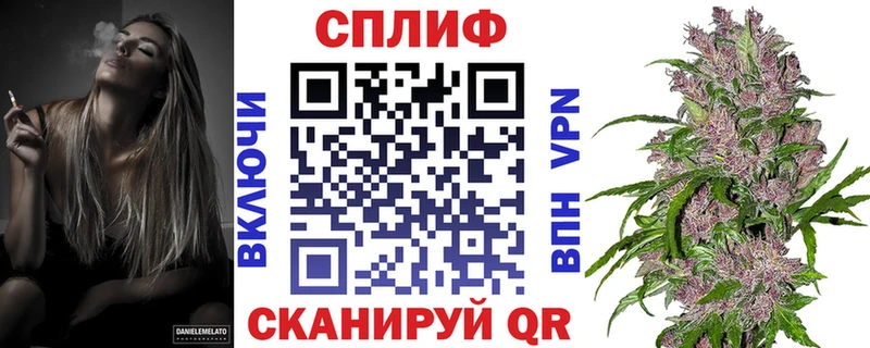 Купить  Суворов  Шишки марихуана THC 21% 